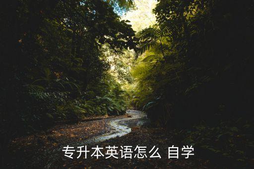  專升本英語(yǔ)怎么 自學(xué)