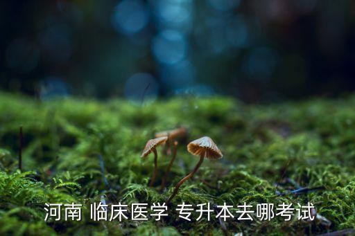 河南專升本臨床 大三,河南專升本報名在即看課本輔導(dǎo)資料