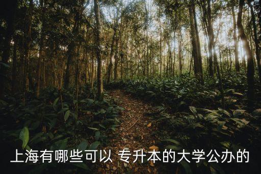 上海有哪些可以 專(zhuān)升本的大學(xué)公辦的