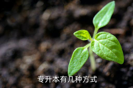 專升本輔導(dǎo)方案,專升本有哪些重點?