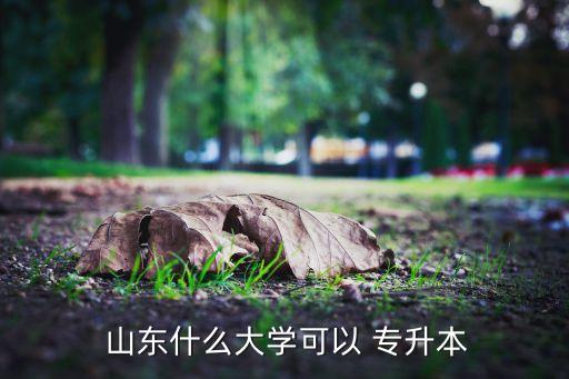  山東什么大學(xué)可以 專升本