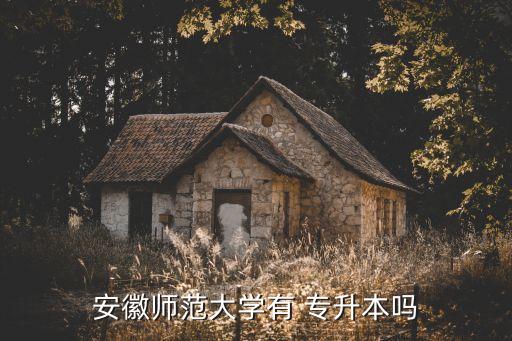 安徽師范大學(xué)有 專升本嗎