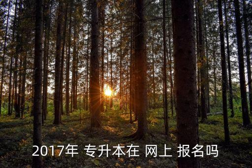 2017年 專升本在 網(wǎng)上 報名嗎