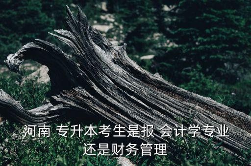  河南 專升本考生是報 會計學(xué)專業(yè)還是財務(wù)管理