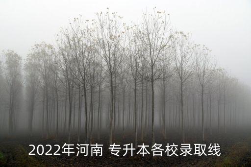 2022年河南 專升本各校錄取線