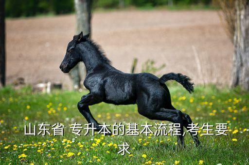 山東省專升本信息網(wǎng),2022年山東專升本考試報名時間已敲定