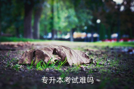  專(zhuān)升本考試難嗎