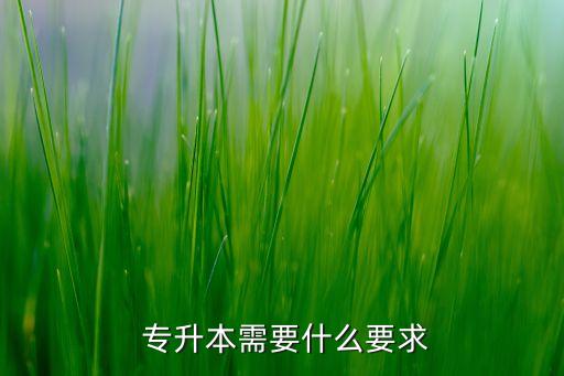 專升本有要求嗎,統(tǒng)招專升本報名須具備大專以上學(xué)歷