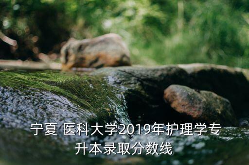  寧夏 醫(yī)科大學(xué)2019年護(hù)理學(xué)專升本錄取分?jǐn)?shù)線