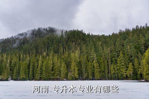 河南專升本會(huì)計(jì)學(xué),河南專升本開設(shè)哪些課程?