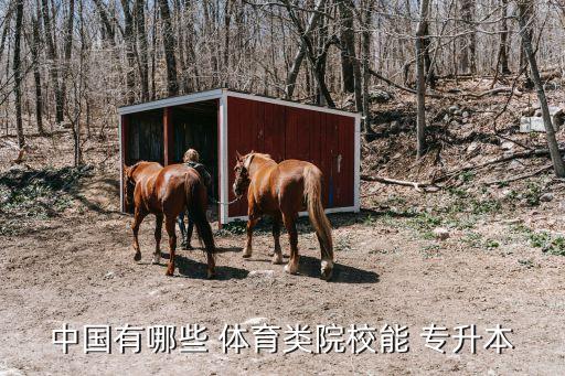 中國(guó)有哪些 體育類院校能 專升本