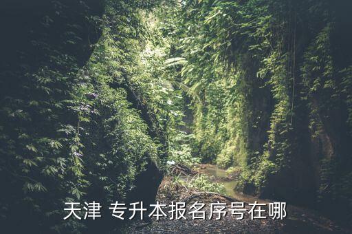 天津 專升本報(bào)名序號(hào)在哪