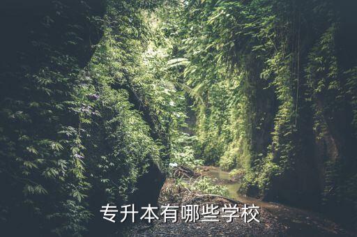  專升本有哪些學(xué)校