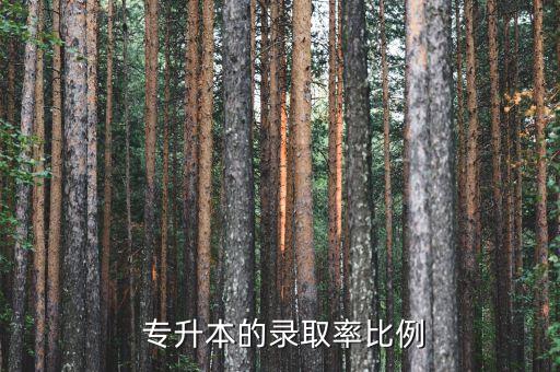 山東省專升本章程,專升本是我國(guó)?？粕M(jìn)入本科階段的一種方式