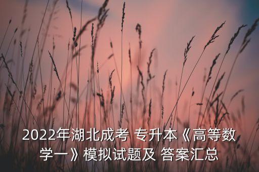 2022年湖北成考 專升本《高等數(shù)學(xué)一》模擬試題及 答案匯總