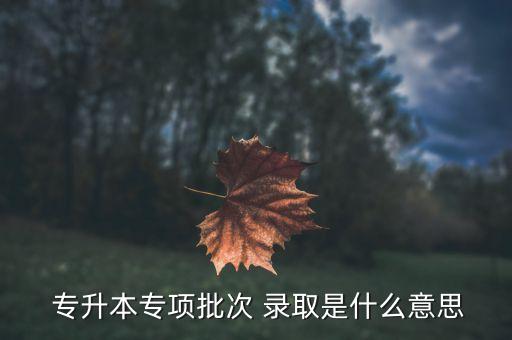  專升本專項(xiàng)批次 錄取是什么意思