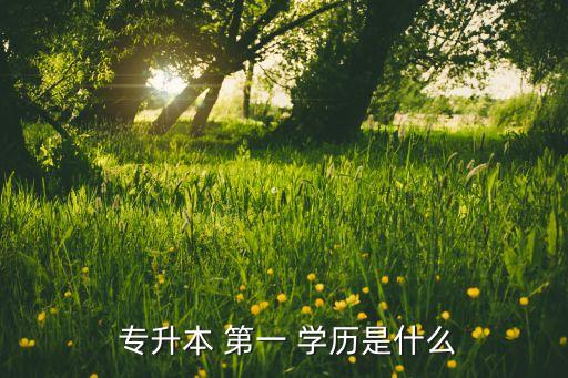  專升本 第一 學(xué)歷是什么