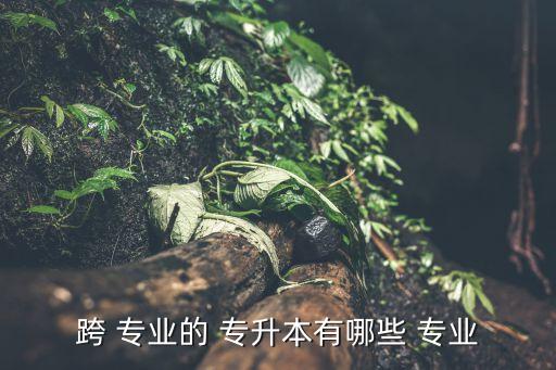 北京 專升本 跨專業(yè),專升本能否跨專業(yè)報(bào)考?能夠申請(qǐng)嗎?