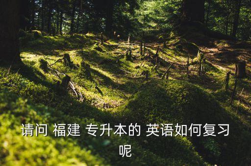 福建專升本英語重點,英語可從高中和專升本開始背誦