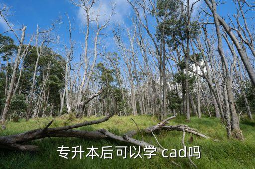  專升本后可以學 cad嗎