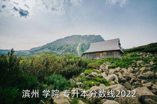  濱州 學院 專升本分數線2022