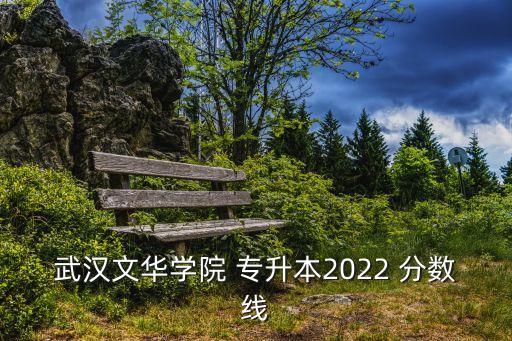 武漢文華學(xué)院 專(zhuān)升本2022 分?jǐn)?shù)線