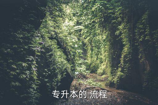  專升本的 流程