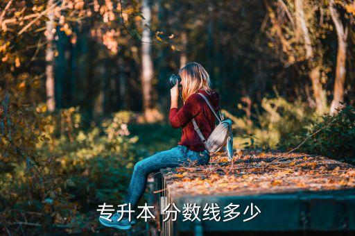 專升本專業(yè)課分?jǐn)?shù),統(tǒng)招高等教育專升本分?jǐn)?shù)線公布