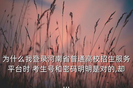 為什么我登錄河南省普通高校招生服務(wù)平臺(tái)時(shí) 考生號(hào)和密碼明明是對(duì)的,卻...