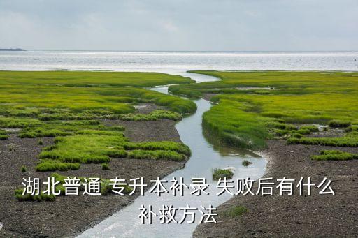 湖北普通 專升本補(bǔ)錄 失敗后有什么補(bǔ)救方法