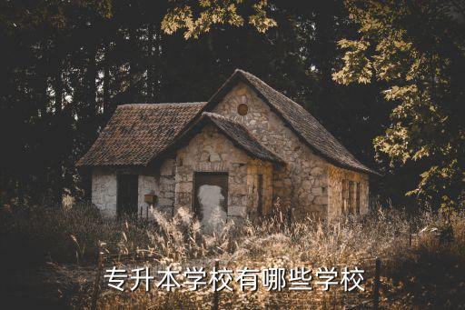 泉州師范院專升本,五所專升本學(xué)校包括濱州大學(xué)和山東醫(yī)學(xué)院