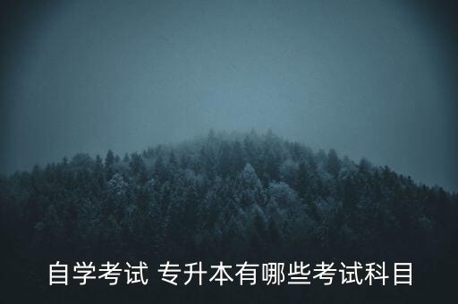 江蘇專升本 工商管理,江蘇省高等學(xué)府新?？瓢嬗心男I(yè)?