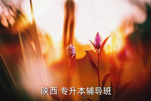  陜西 專升本輔導班