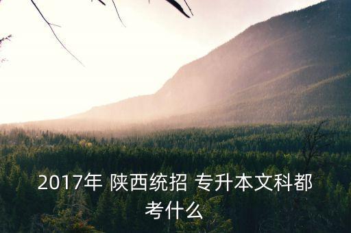 2017年 陜西統(tǒng)招 專升本文科都考什么