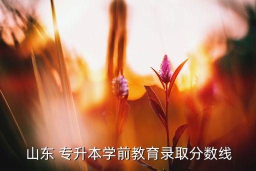  山東 專升本學(xué)前教育錄取分?jǐn)?shù)線