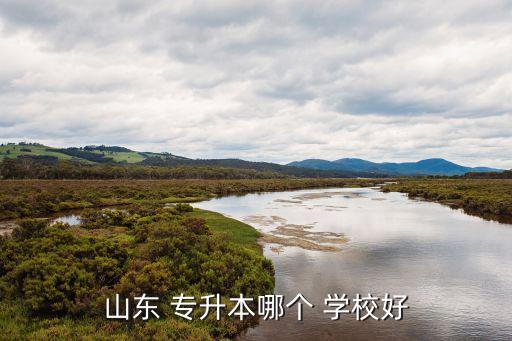 濰坊專升本學(xué)校排名,山東財經(jīng)大學(xué)獨立學(xué)院成為本地第四所