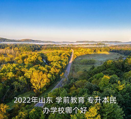 2022年山東 學(xué)前教育 專升本民辦學(xué)校哪個好