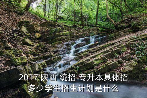 2017 陜西 統(tǒng)招 專升本具體招多少學(xué)生招生計劃是什么