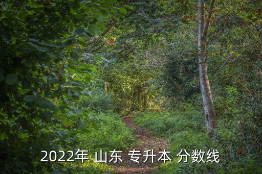 2022年 山東 專升本 分數(shù)線