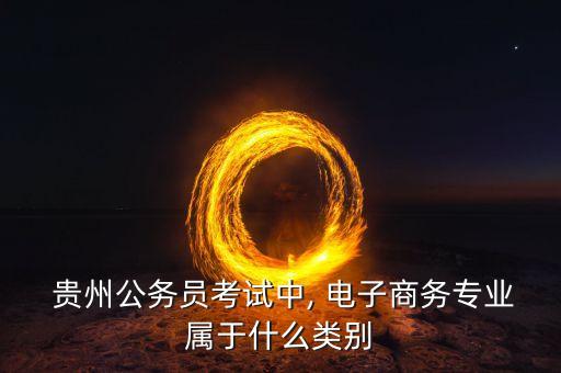  貴州公務(wù)員考試中, 電子商務(wù)專業(yè)屬于什么類別