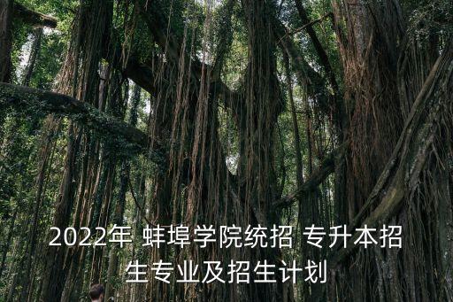 2022年 蚌埠學(xué)院統(tǒng)招 專升本招生專業(yè)及招生計(jì)劃