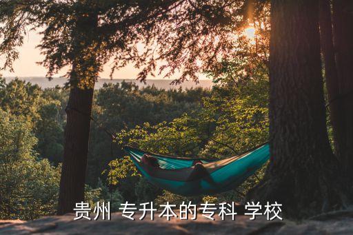  貴州 專升本的?？?學(xué)校