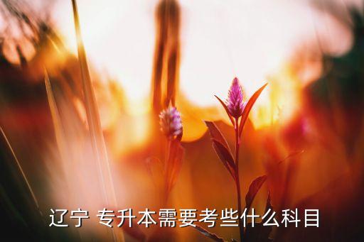 遼寧專升本英語專業(yè)的,正規(guī)大學全日制學習專升本報名在即