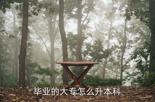 如何在大學(xué)里專升本,三大知識點(diǎn)之一!專升本知多少?