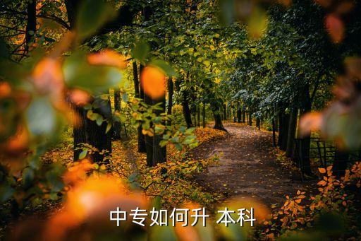 中專升本科書,中專l本科mode:1中專學(xué)歷可升大?；虮究? /></a><a href=