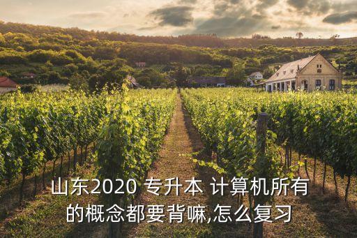  山東2020 專升本 計算機所有的概念都要背嘛,怎么復習