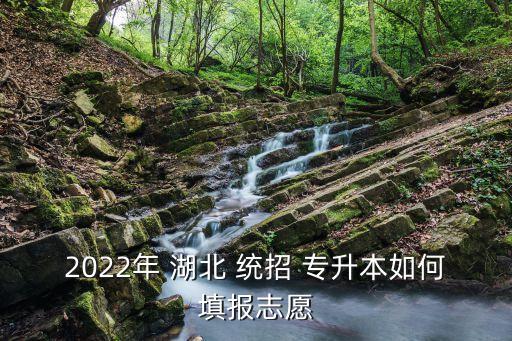 2022年 湖北 統(tǒng)招 專升本如何填報志愿