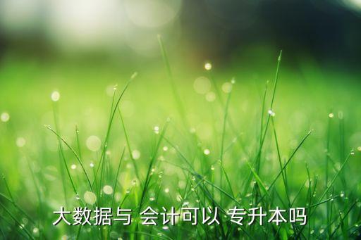 大數(shù)據(jù)與 會計(jì)可以 專升本嗎