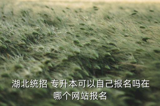 湖北專升本qq群推薦,湖北統招專升本怎么報名?