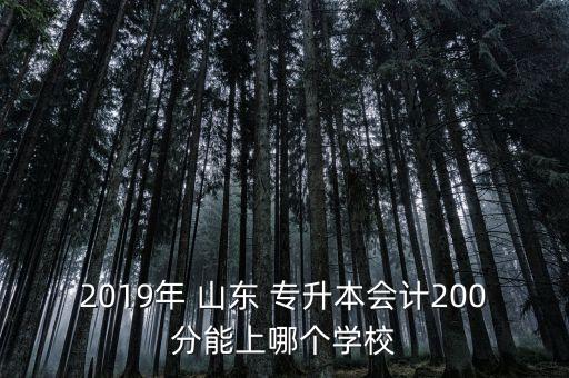 2019年 山東 專升本會(huì)計(jì)200分能上哪個(gè)學(xué)校